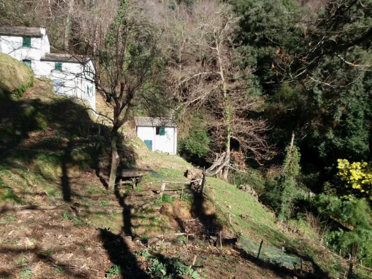 Country House In Mount & Natural Park *