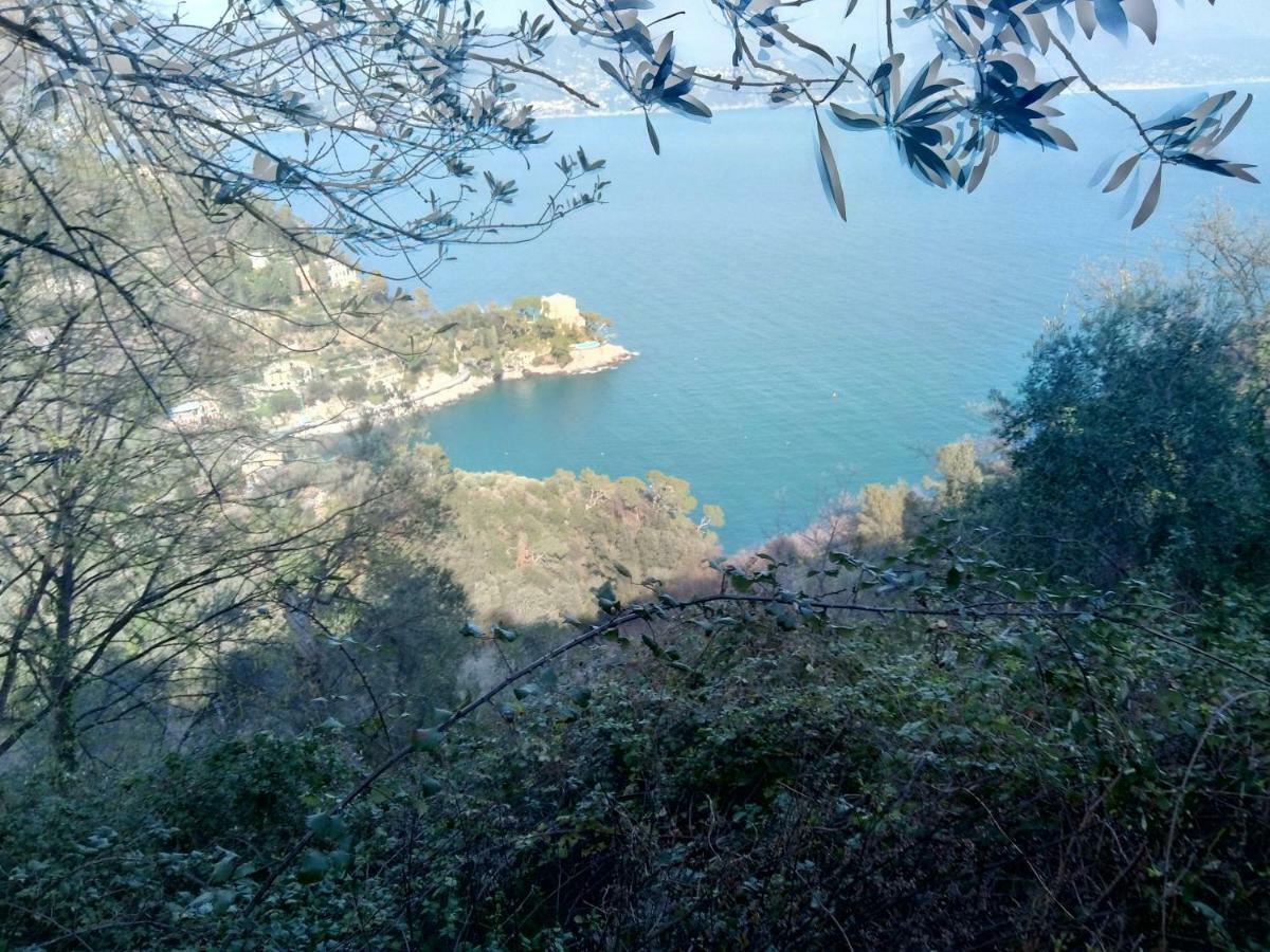 Country House In Mount & Natural Park Portofino
