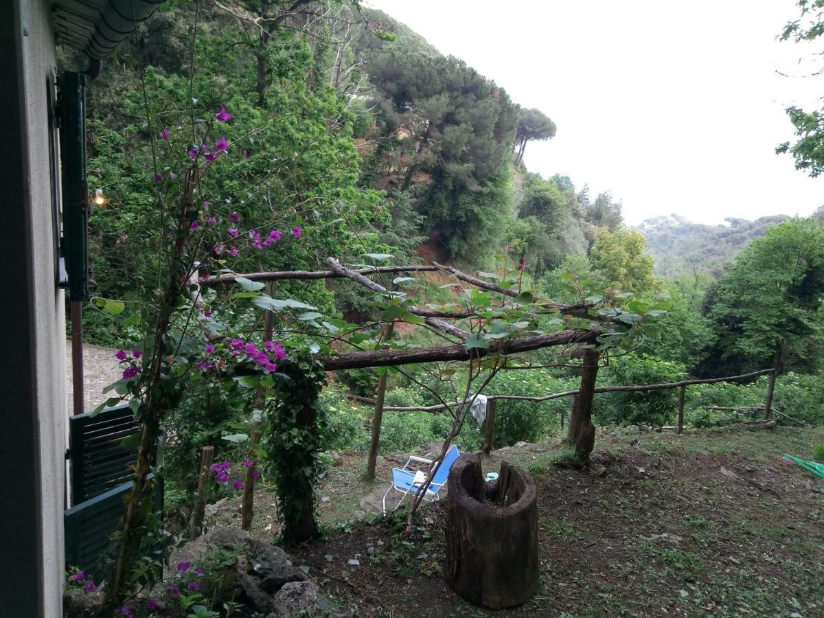 Country House In Mount & Natural Park *
